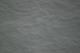 Missing Picture